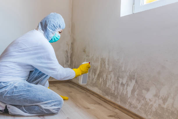 Commercial Mold Remediation assessment for commercial property in Mechanicsville
